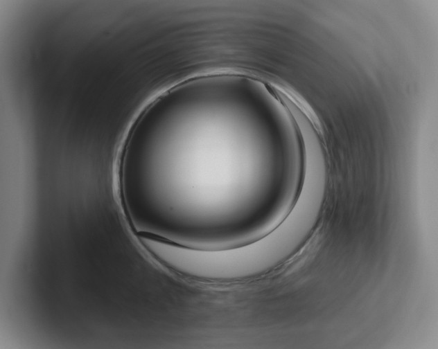 X0000102530813200808151554