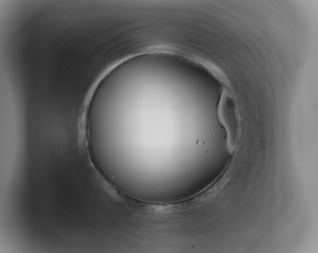 X0000102530816200808151554