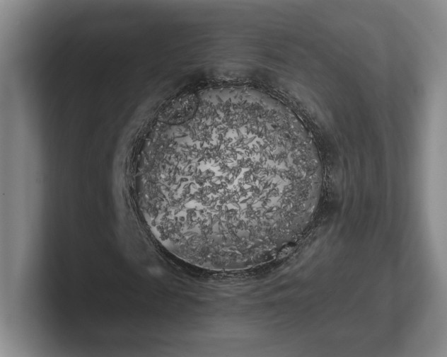X0000102530817200808151553