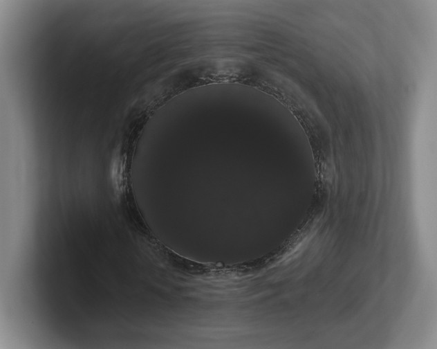 X0000102530818200808151553