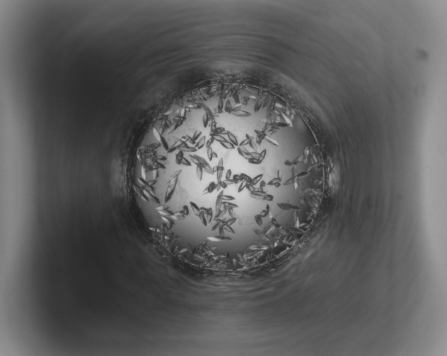 X0000102530819200808151553