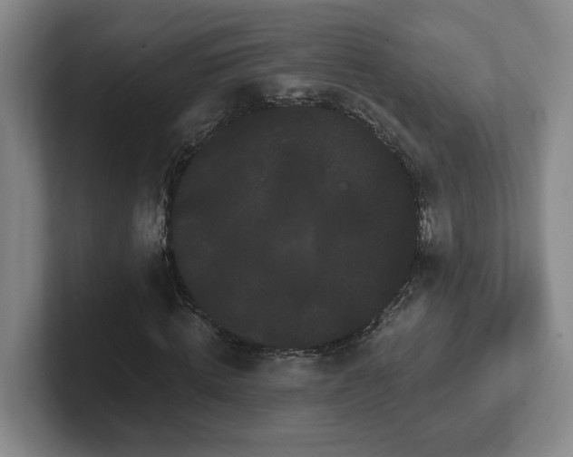 X0000102530820200808151553