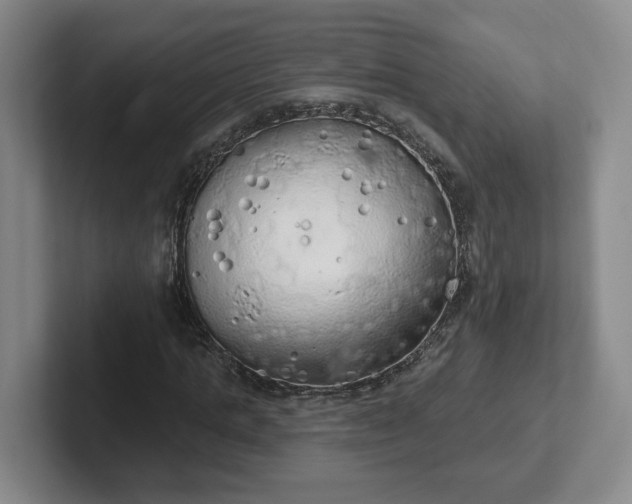 X0000102530821200808151553