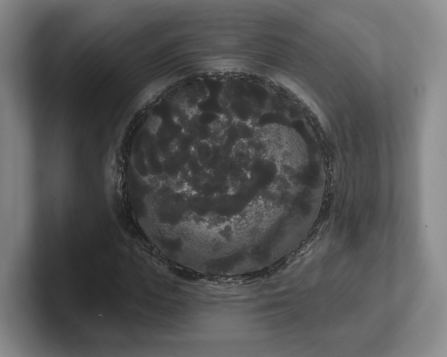 X0000102530823200808151553