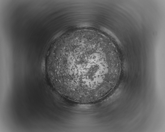 X0000102530825200808151553