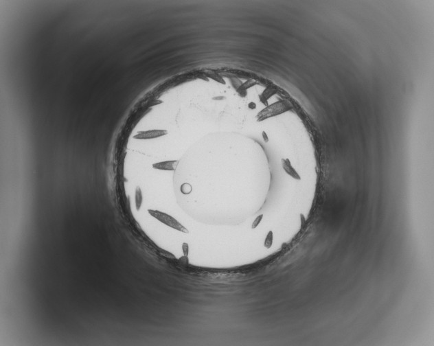 X0000102530832200808151553
