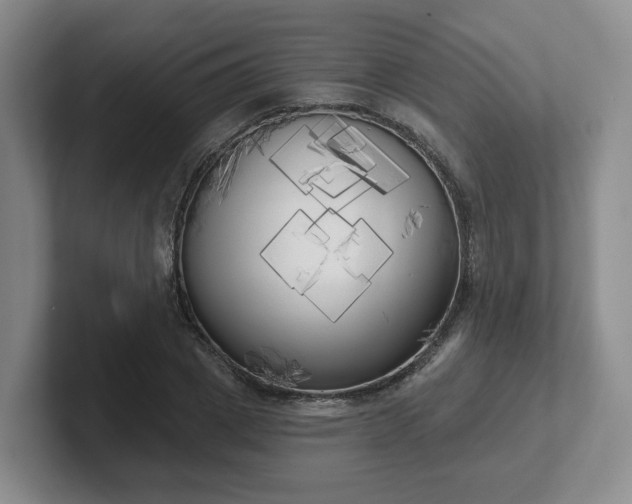 X0000102530833200808151553