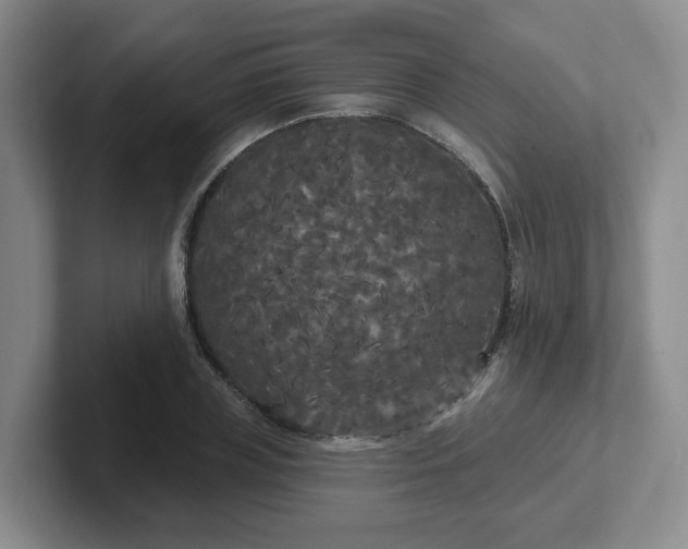 X0000102530835200808151553