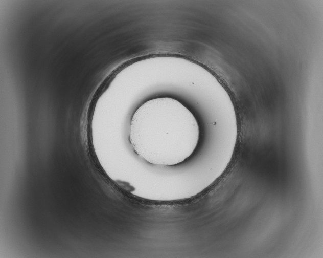 X0000102530836200808151553