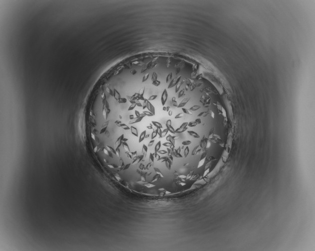 X0000102530838200808151553