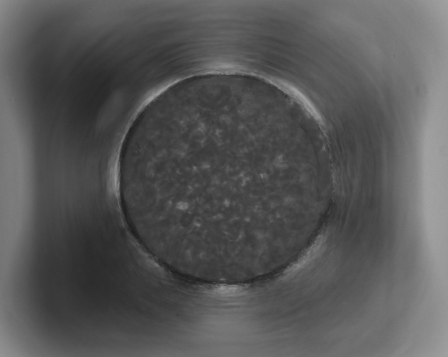 X0000102530839200808151553