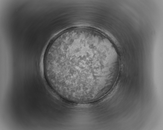 X0000102530840200808151553