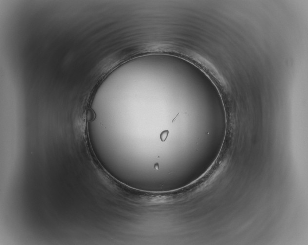 X0000102530841200808151553