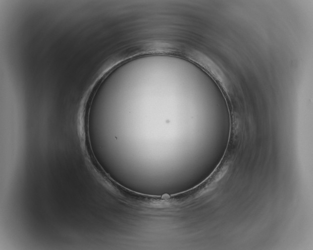 X0000102530843200808151553