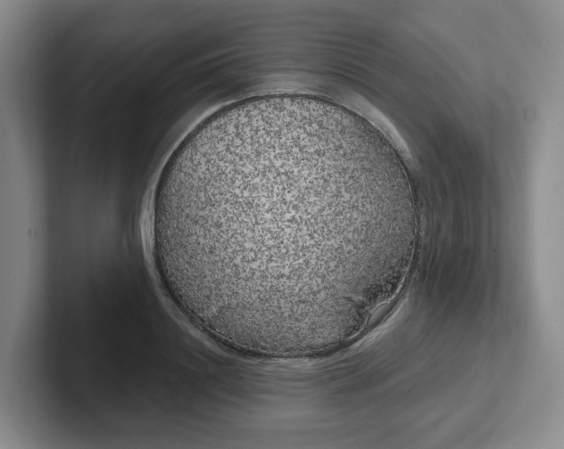 X0000102530844200808151553