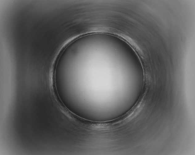 X0000102530846200808151553