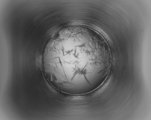 X0000102530849200808151554