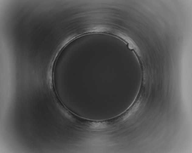 X0000102530850200808151554