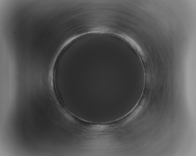 X0000102530854200808151554