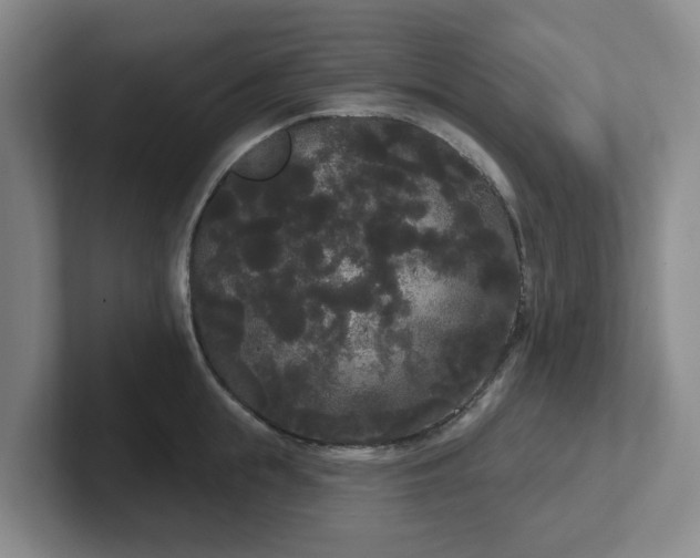 X0000102530855200808151554