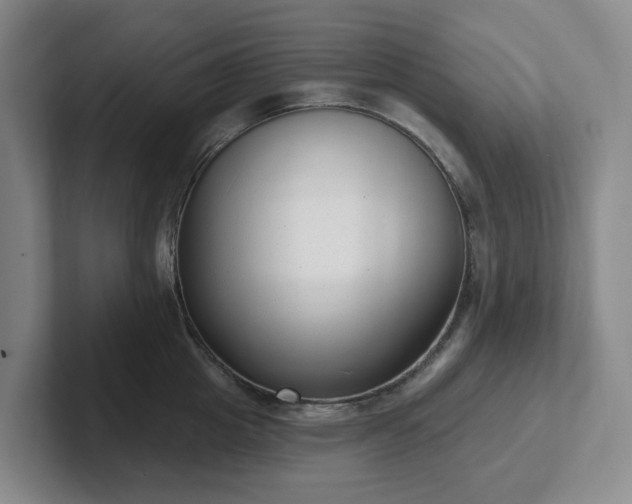 X0000102530857200808151554