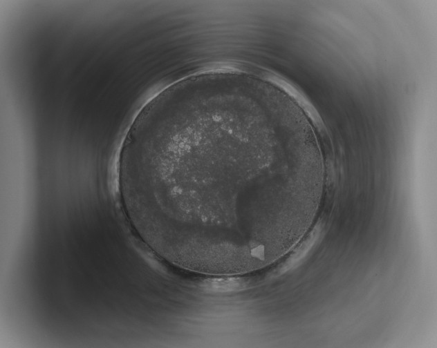 X0000102530858200808151554