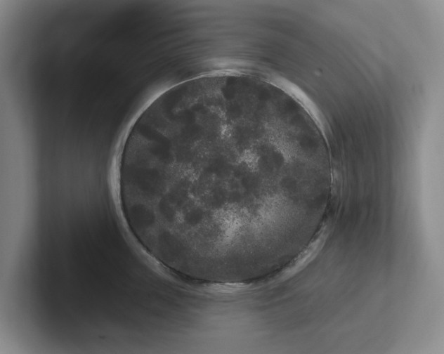 X0000102530859200808151554