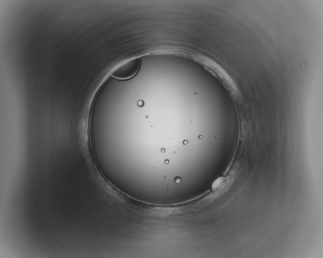 X0000102530860200808151554