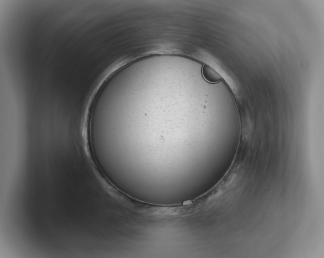 X0000102530861200808151554