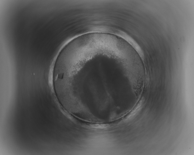 X0000102530862200808151554