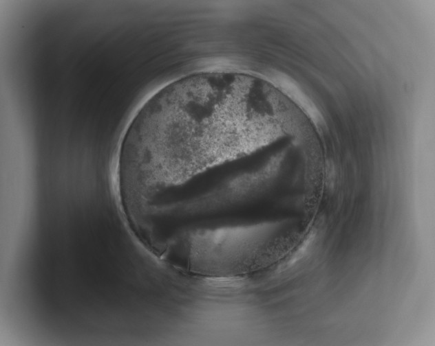 X0000102530863200808151554