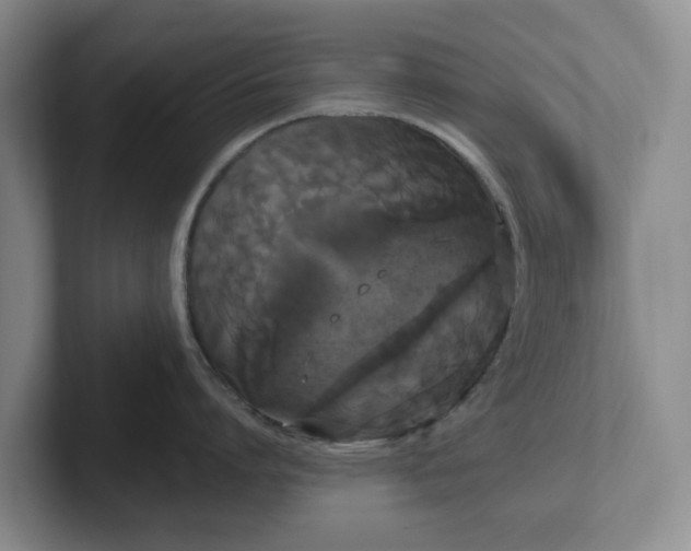 X0000102530864200808151554