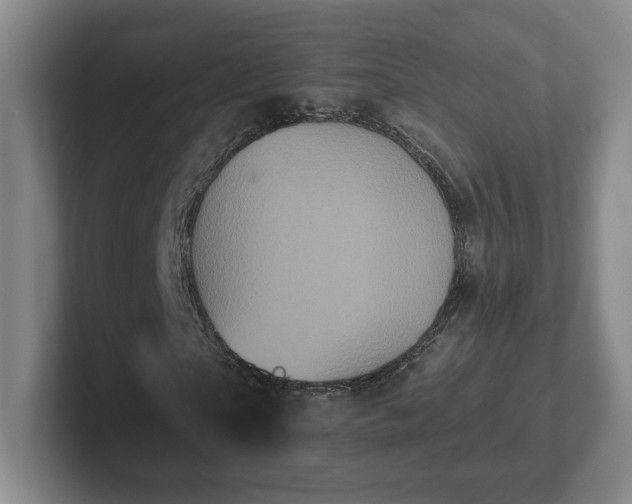 X0000102530865200808151553