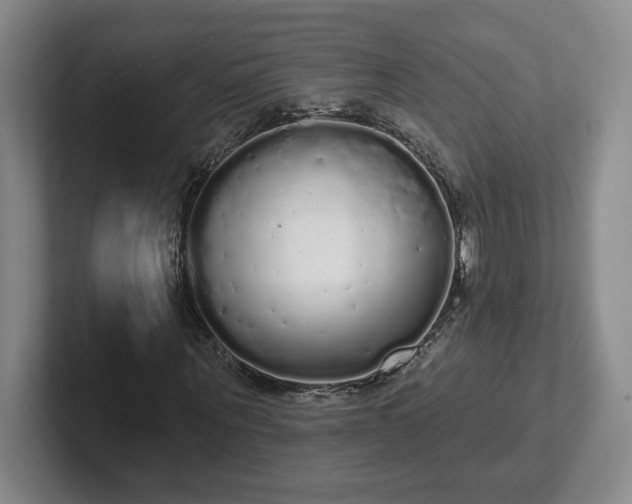 X0000102530867200808151553