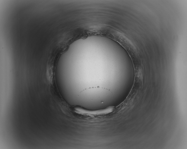 X0000102530868200808151553