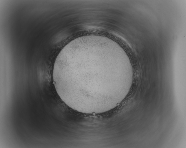 X0000102530869200808151553