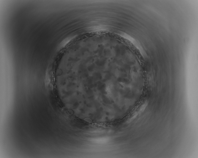 X0000102530871200808151553