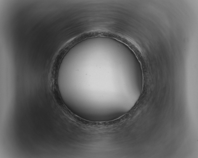 X0000102530872200808151553