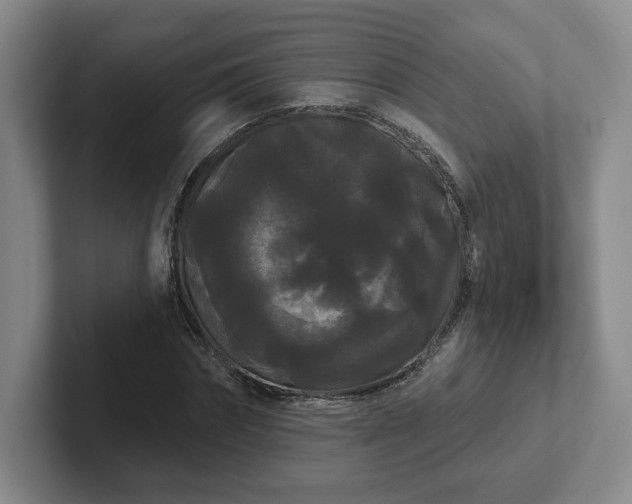 X0000102530874200808151553