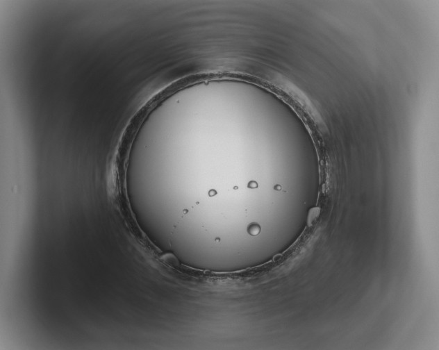 X0000102530876200808151553