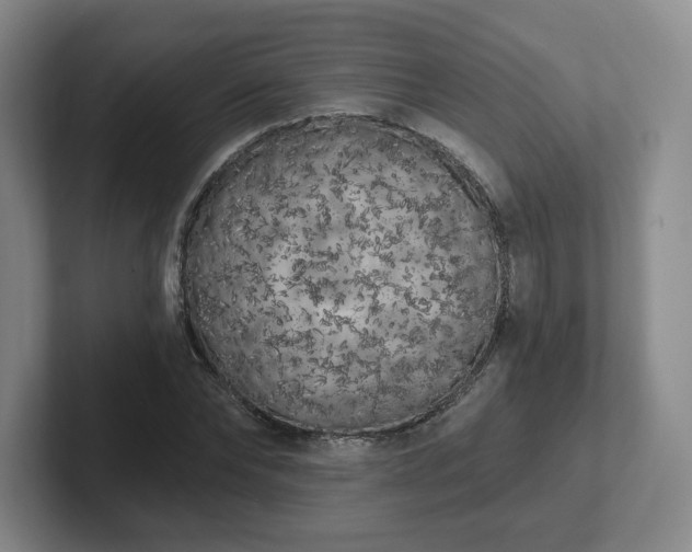 X0000102530878200808151553