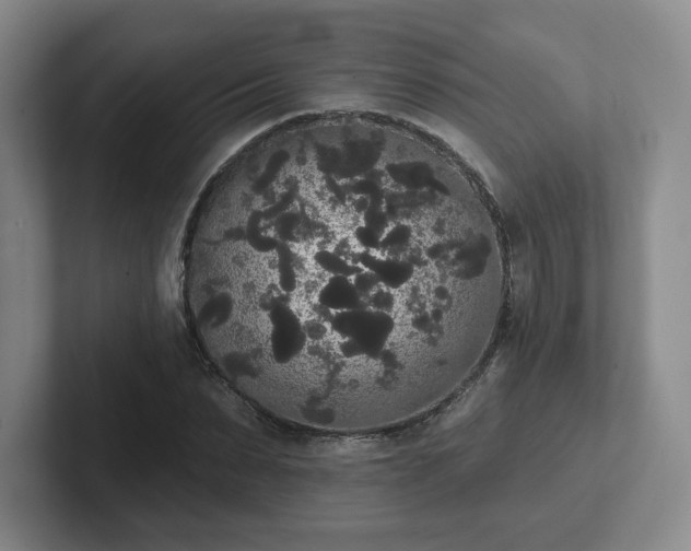 X0000102530879200808151553