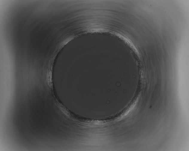 X0000102530881200808151553