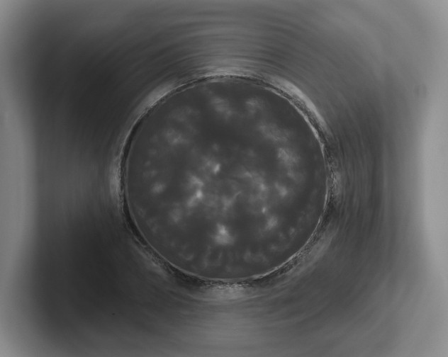 X0000102530882200808151553