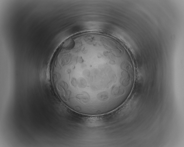 X0000102530883200808151553