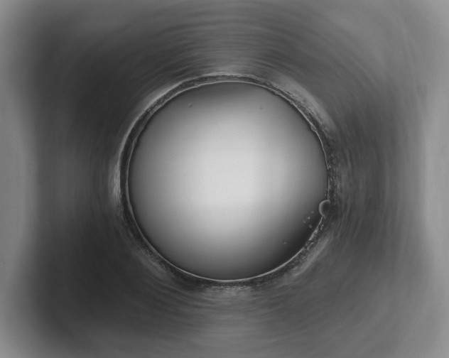 X0000102530884200808151553