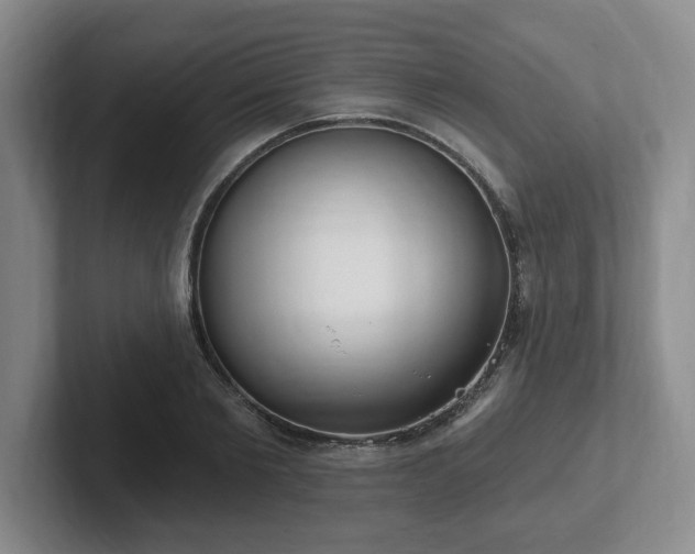 X0000102530885200808151553