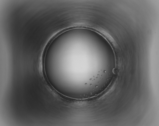 X0000102530888200808151553