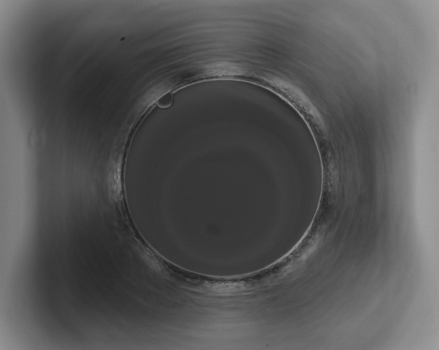 X0000102530889200808151553