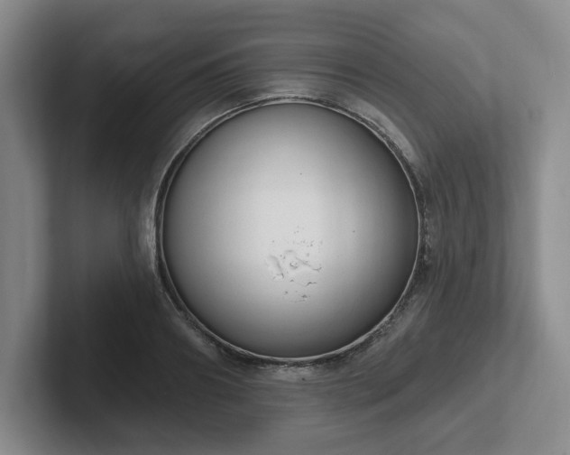 X0000102530890200808151553